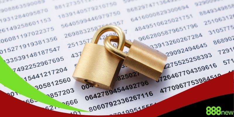 888NEW bảo vệ quyền lợi người chơi chặt chẽ